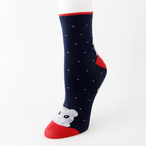 5 Pairs Women  Colorful Cat Striped Cotton Sock