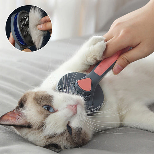 Elegance Cat Brush Hair Removes