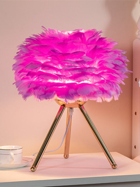 Beautiful Feather Lamp